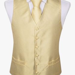 Barry Wang Formal Men Dress Vest Tie Set  5PCS Gold Small