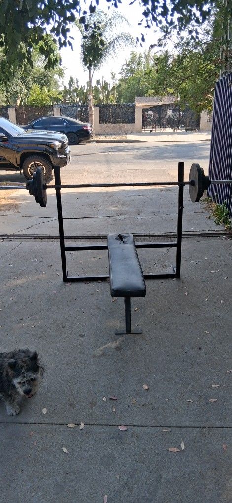 Weight Bench With Weights