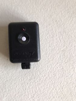 Linear gate entry remote garage door