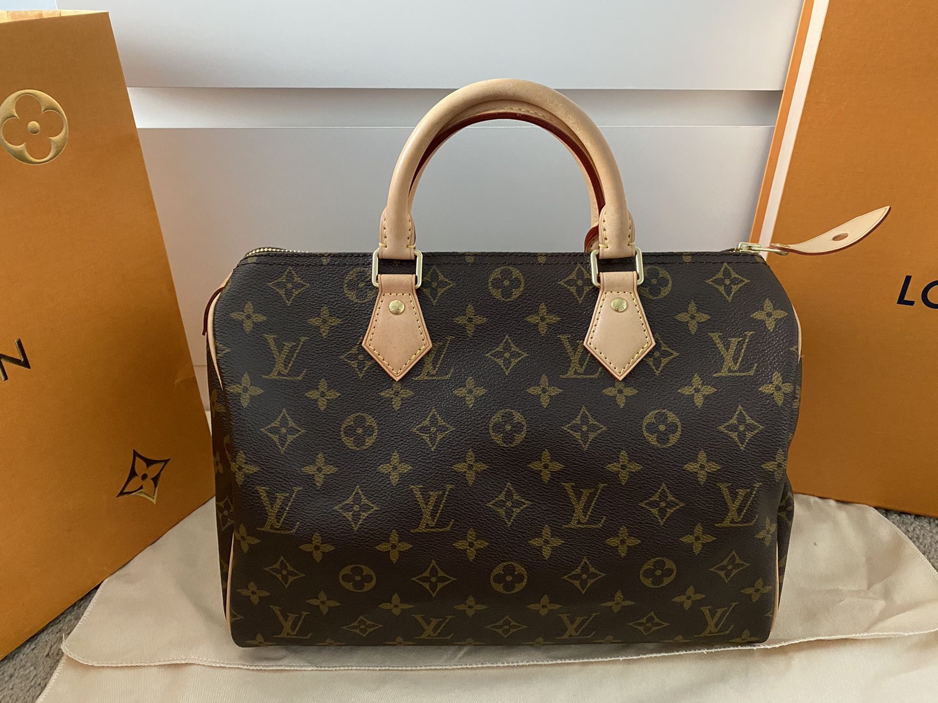 lv speedy 30 dust bag