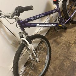 Roadmaster Bike