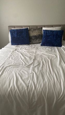 Cama Con Colchón Y El Frame