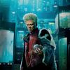 The_Collector