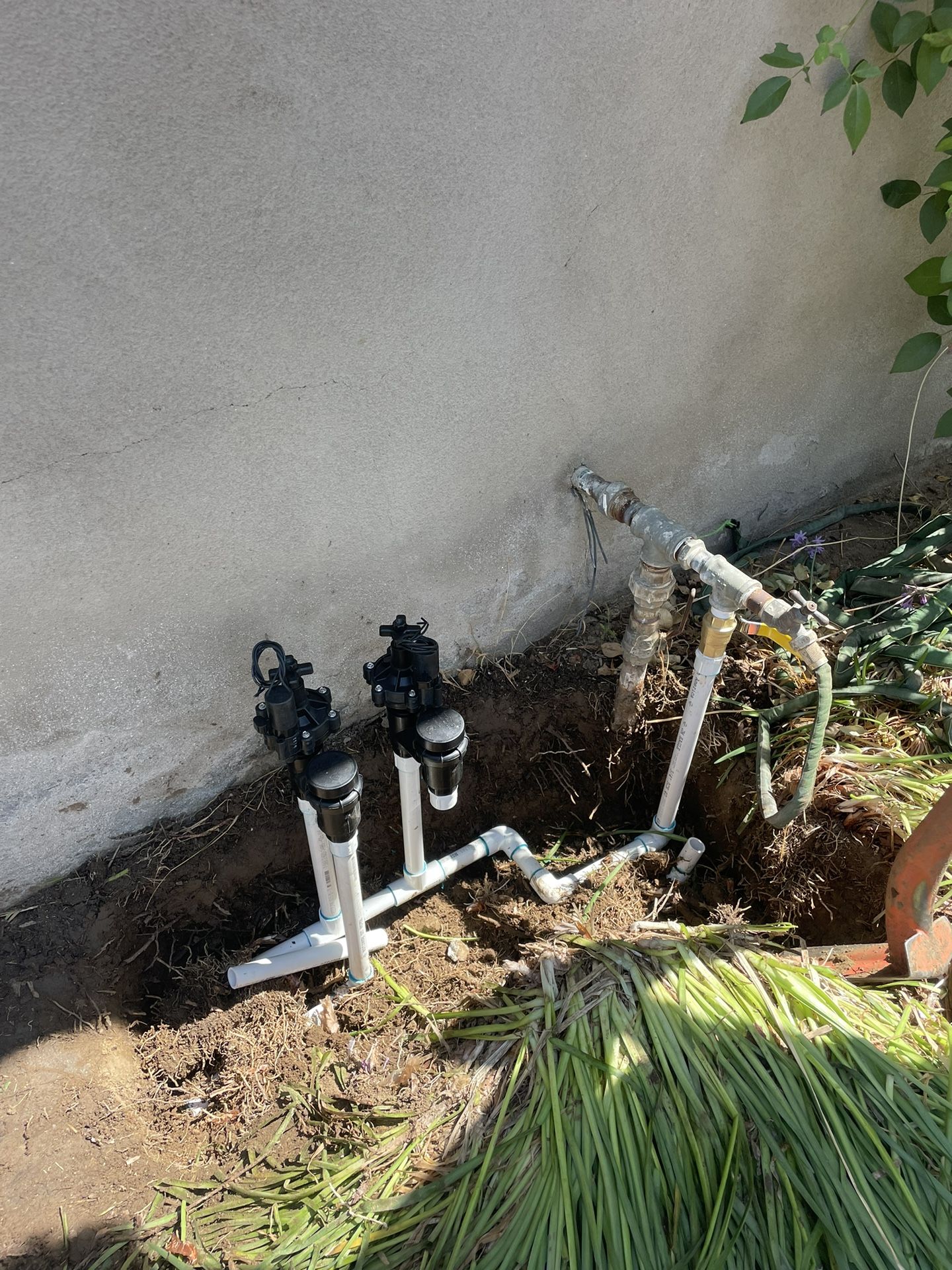 Sprinklers And Drain