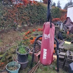 Punching Bag And Stand
