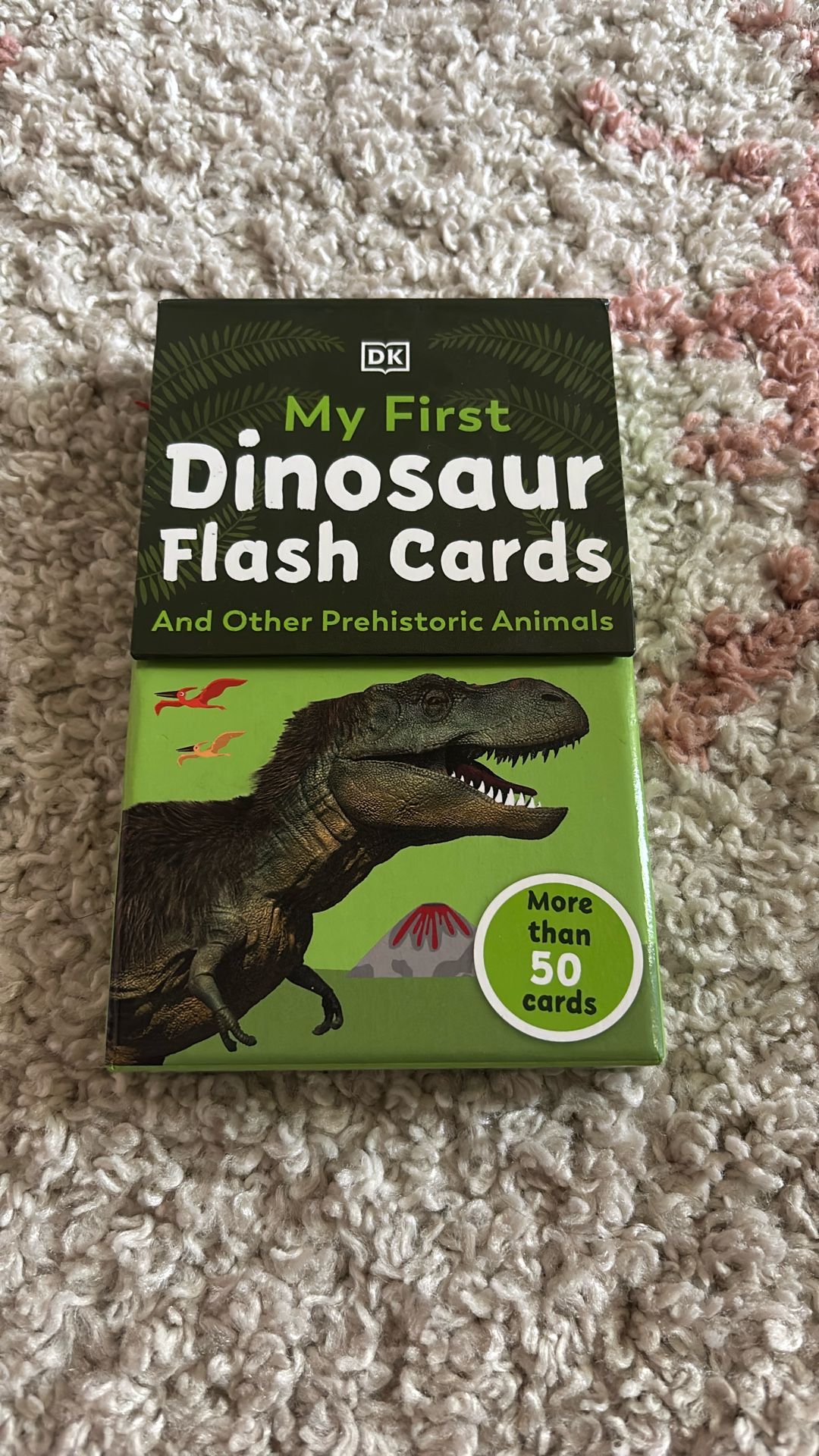 Dino Flash Card Set