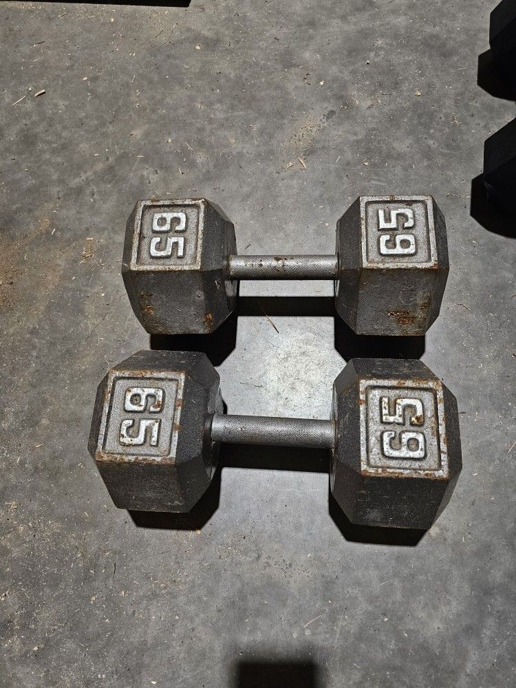 65lb Dumbbells