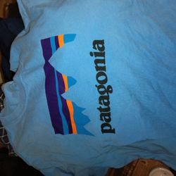 Patagonia Tshirt 
