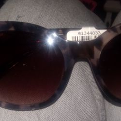 Longchamps Turtle Brand New Sunglasses
