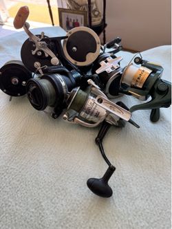 6-different, size and brand, Reel