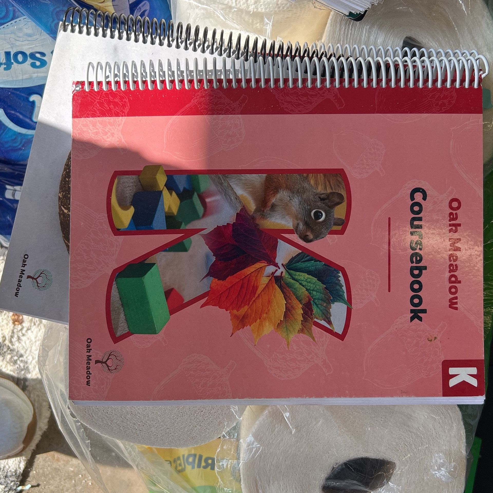 Oak Meadow K Coursebook Curriculum