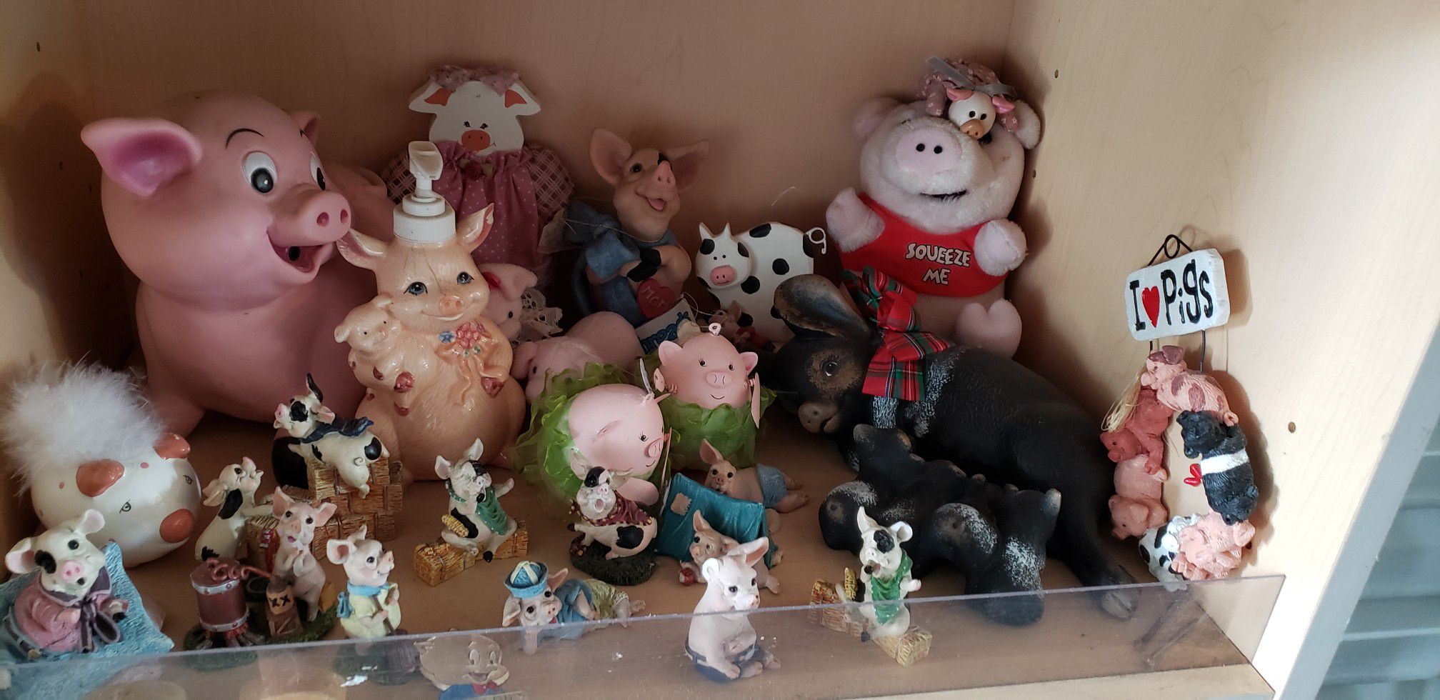Pig collection nice
