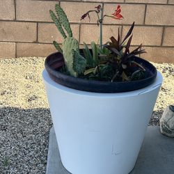 Globe Spherical Planter Pot $ 80