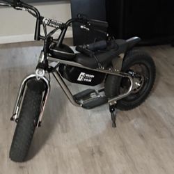 Golden Cycles E-bike Fat Tire 16”