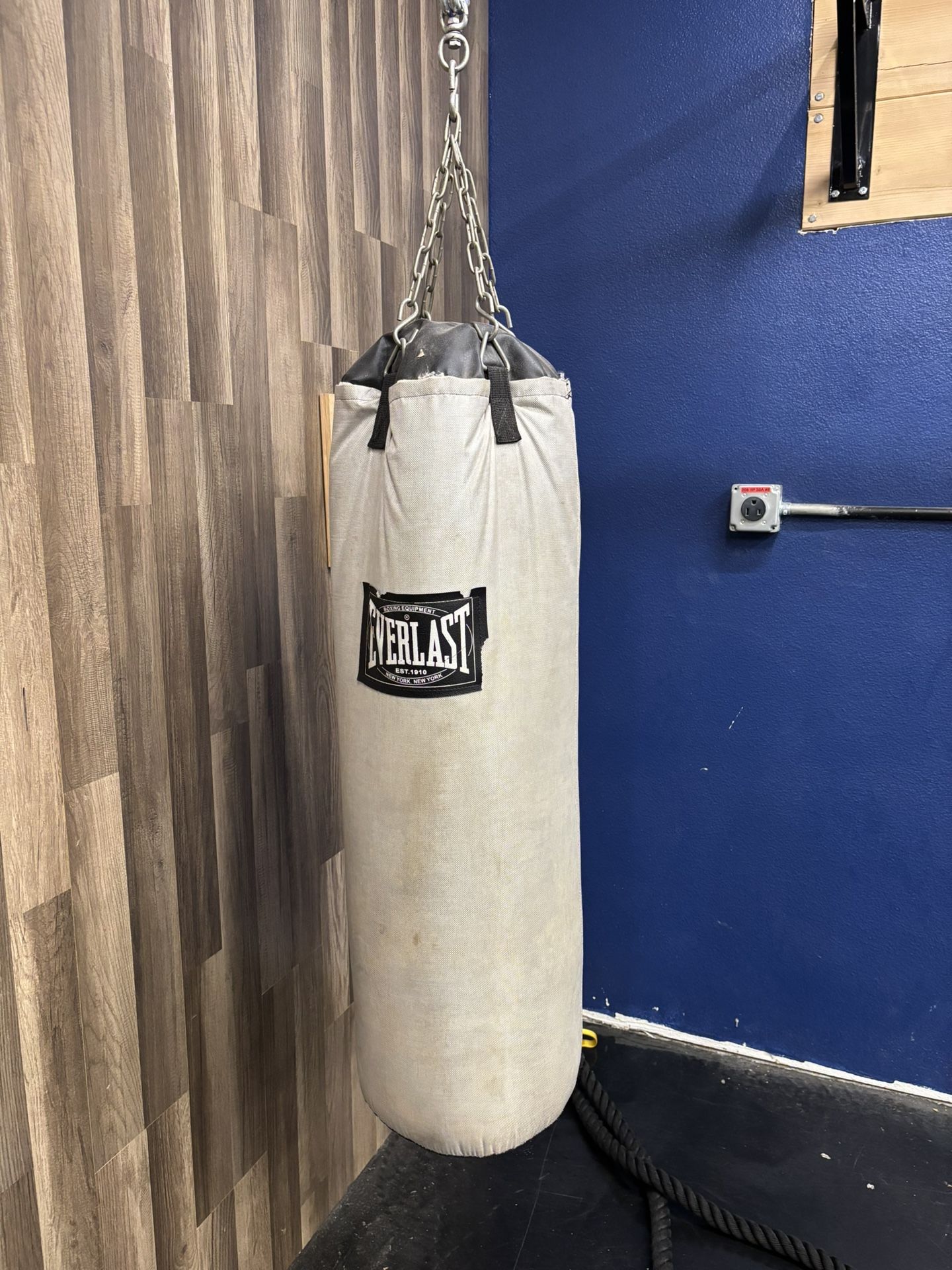 80lb Everlast Boxing Heavy Bag And Gloves 