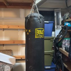 Everlast Punching Bag 