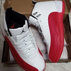 Cherry Jordan 12s