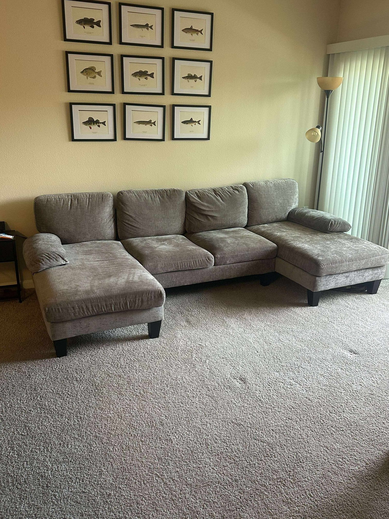 Sectional Couch