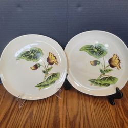 Set of 2 Vintage Sun-Lure by Cooksville  10" Dinner Plates USA