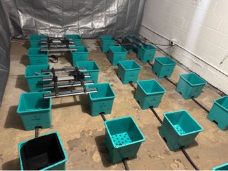 Air cube grow operation