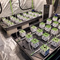 New Grow Equipment TOO MUCH TO LIST