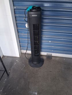 Fan