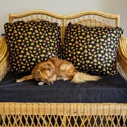 Wicker Love Seat/Shelves