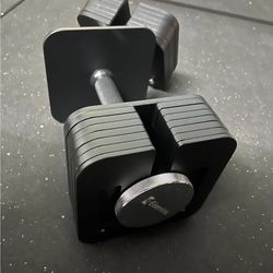 Eisenlink 80 lbs Adjustable Dumbbells Brand New