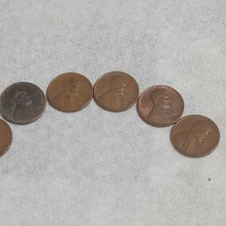 6 Wheat Pennys No Mint Mark  