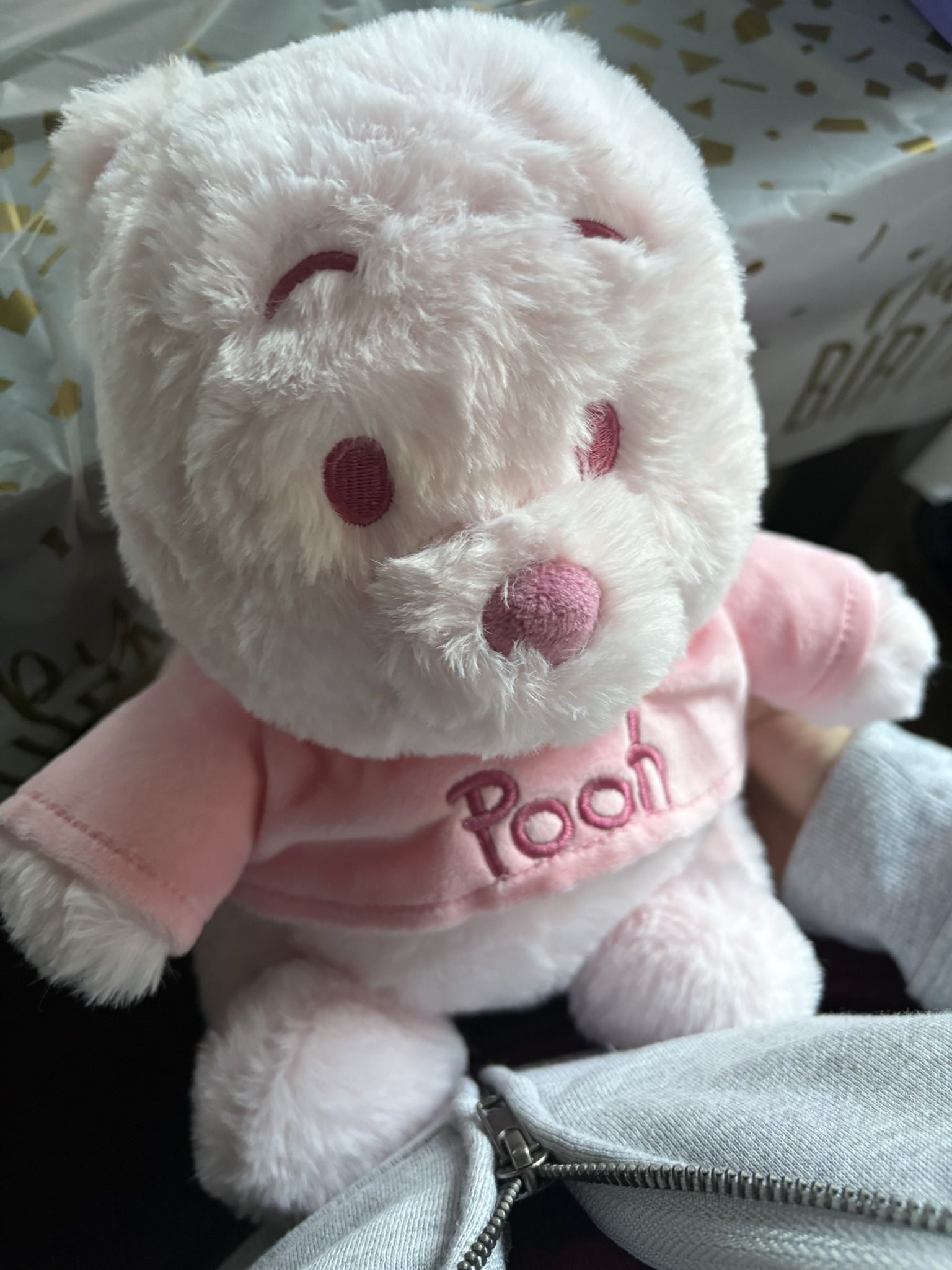 Pink Winnie the Pooh