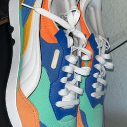 Pumas (Colorful)