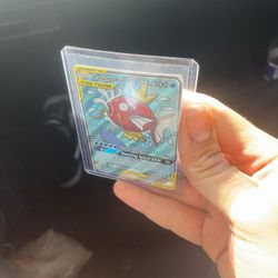 Magikarp Wailord tag Team