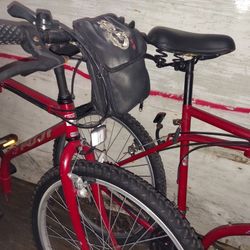 Fuji folding bike