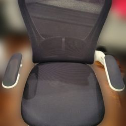 Office Chairs (Two) $80 Each 