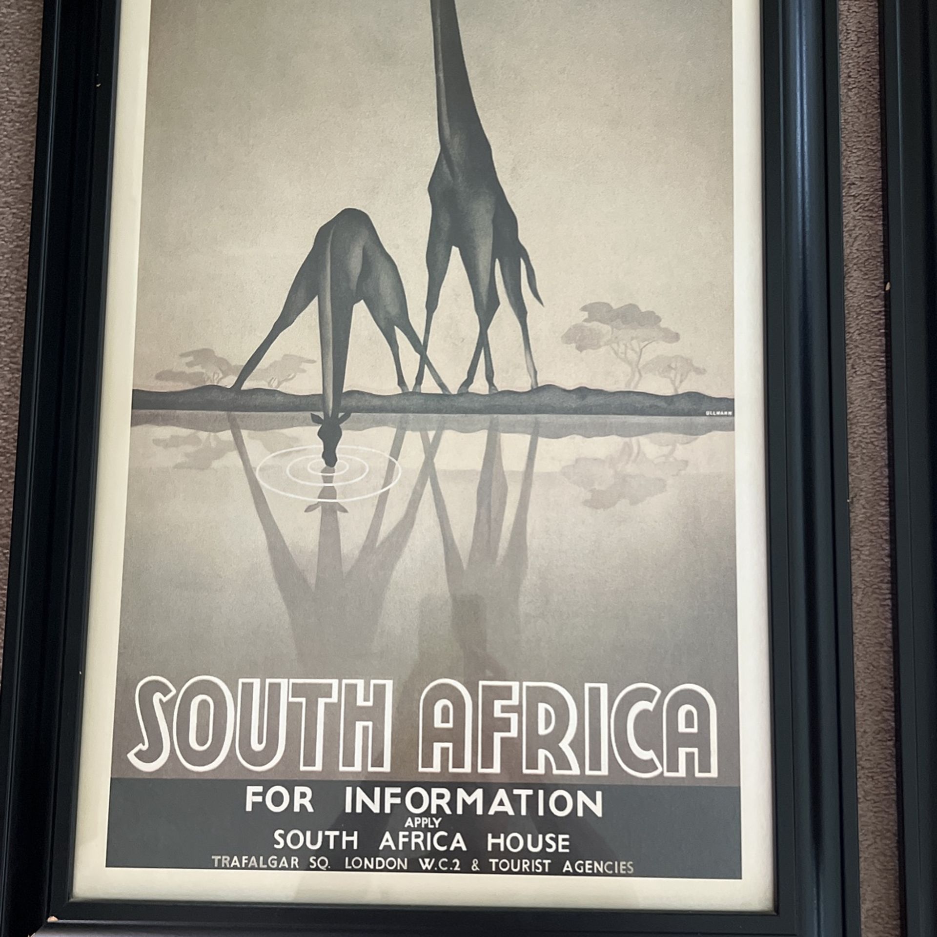 Mystic Safari Frames (Collectables) Collectibles & Art