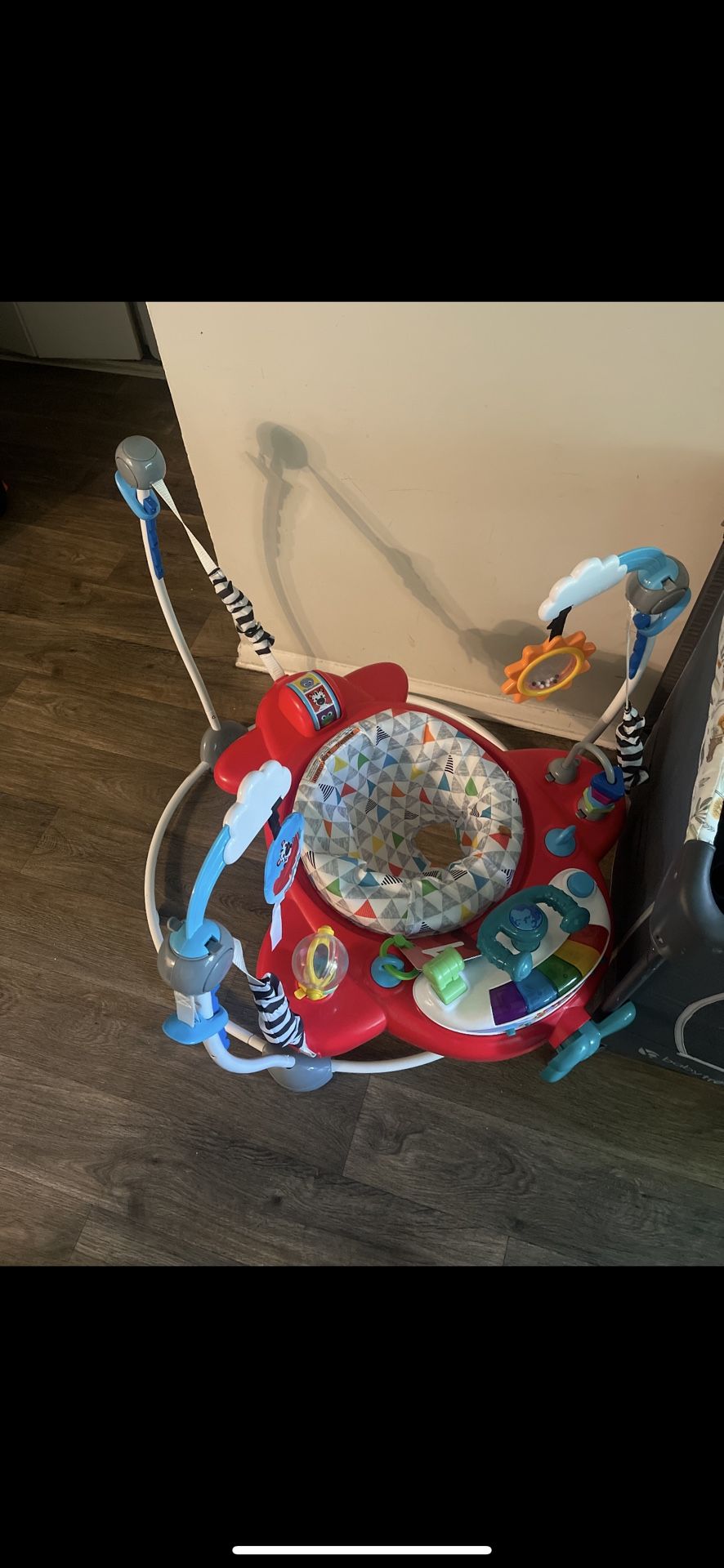Baby Bouncer