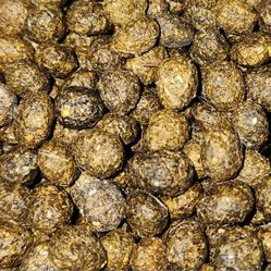 Little Honee Poo-Poo