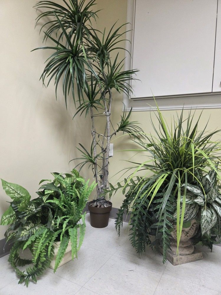 Decorative Fake Plants