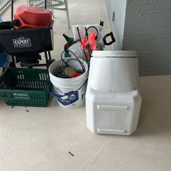 Gardening Stuff. Clover Seeds Etc