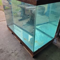65 Gallon Tall aquarium Fish Tank