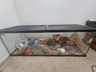 60 gallon tank with bearded dragon items