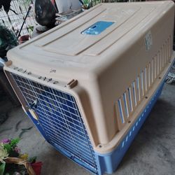 Large Dog Kennel