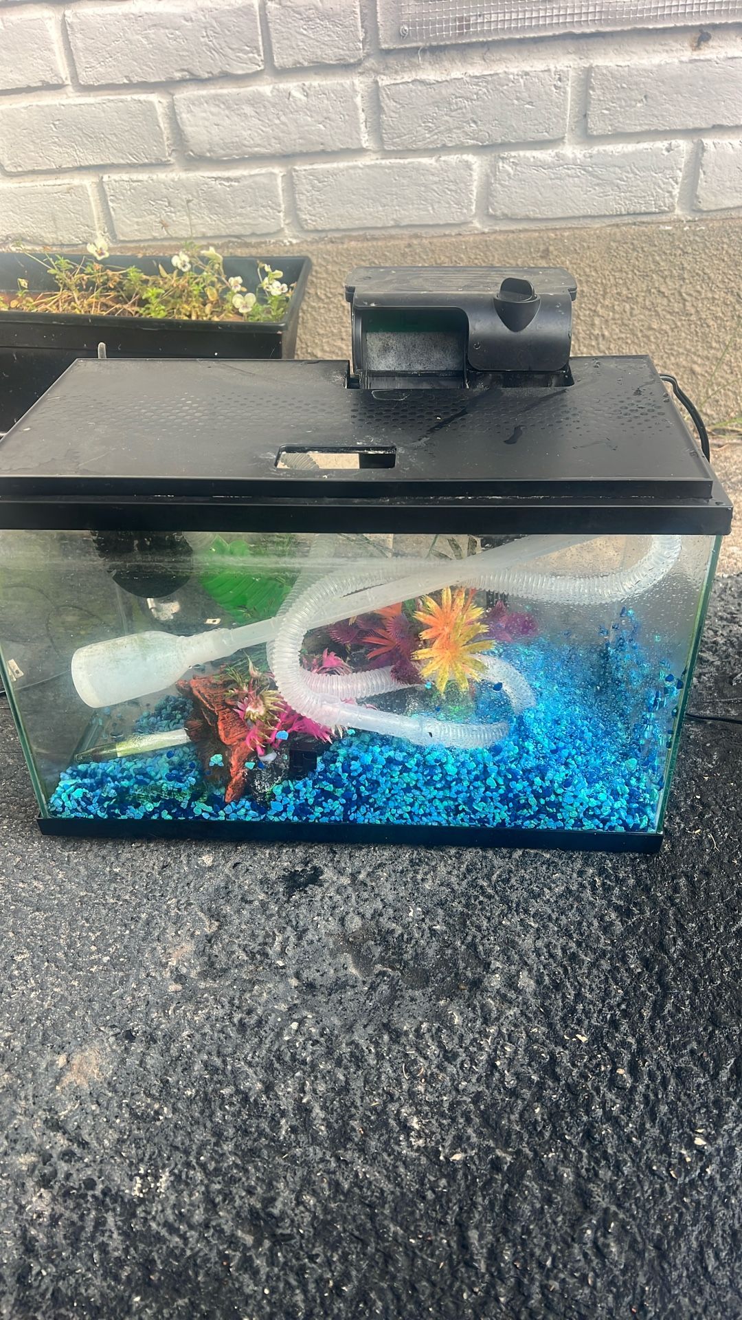 Aquarium