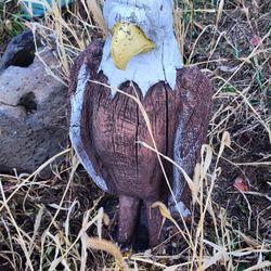 2 Wooden Eagles For Lawn Or Garden 