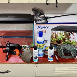 Aqueon 5.5 Gallon Glass Fish Tank, Filter, Heater, Tank Decor, Care Products, Etc