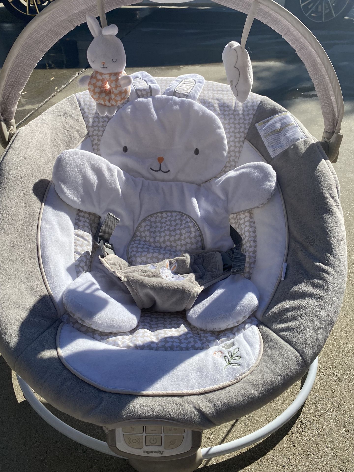 Baby Bunny Bouncer