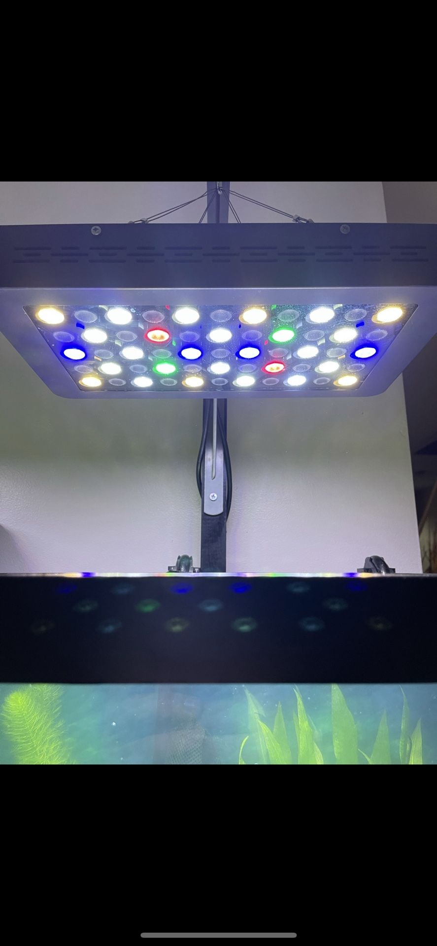 Luces De Acuario