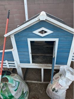 Chick coop