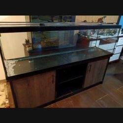 Fish Tank 125 G