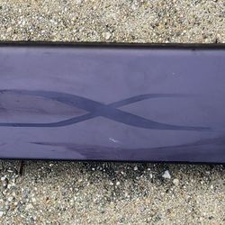 TESLA MODEL X DOOR WELCOME PLATE TRIM LEFT 2016 2017 2018 2019 2020